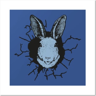 Rabbit cracked wall Posters and Art